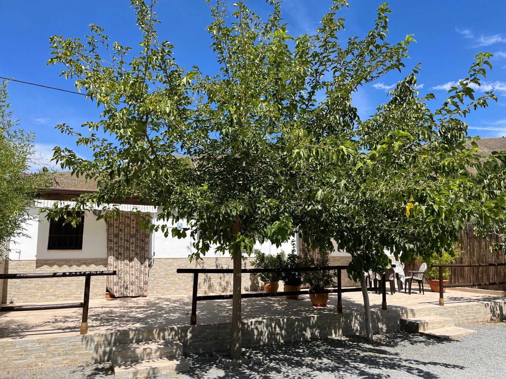 Cortijo Los Cahorros Sierra Nevada 莫纳奇尔 外观 照片